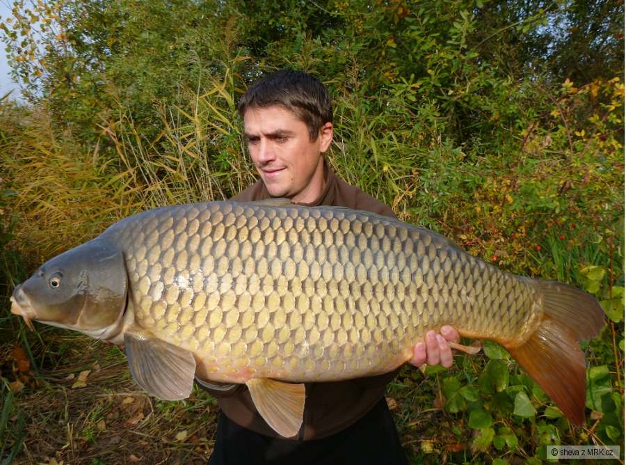103cm,18,9kg
