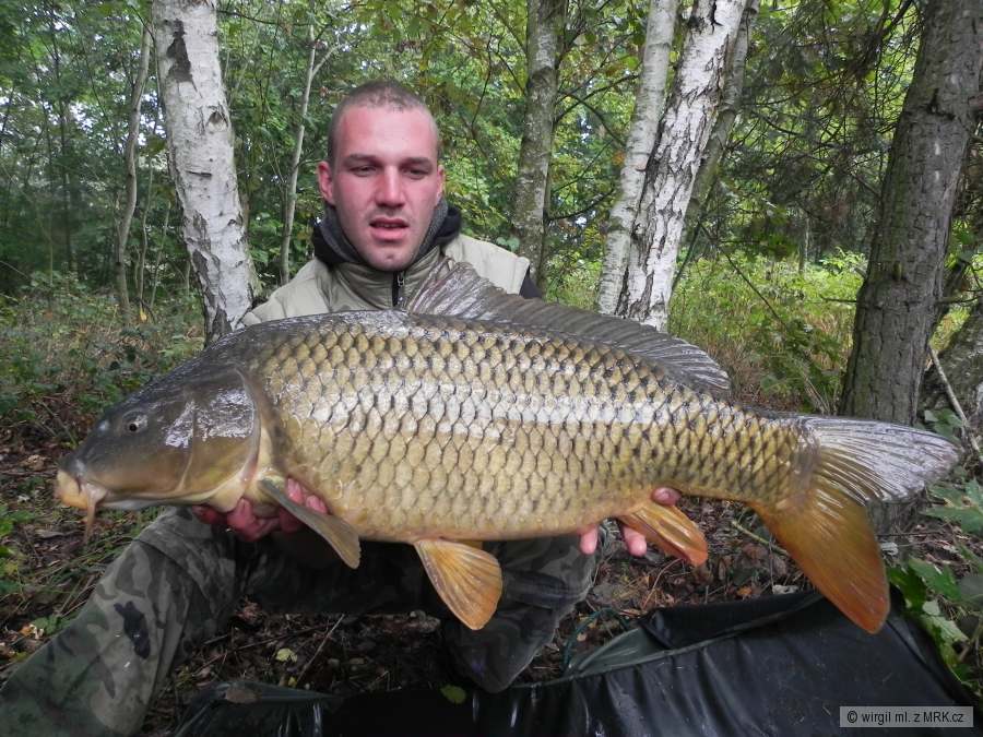 karp