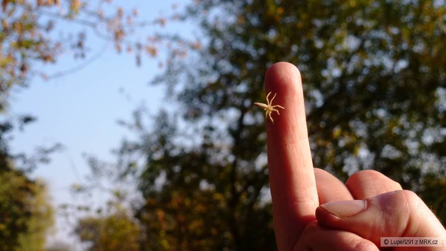 Kyjovka 2D 19. - 21.10.12