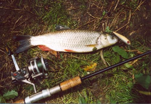 Tloust 38cm.