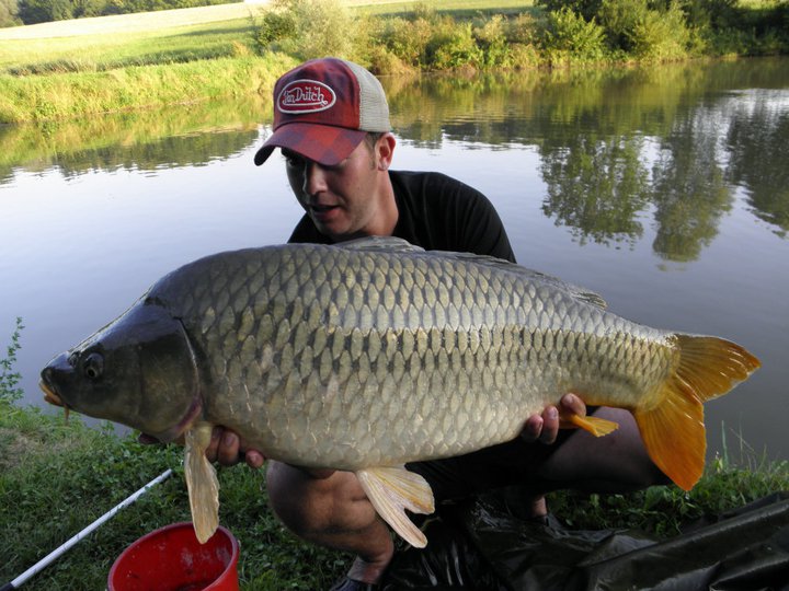Kapr 15kg