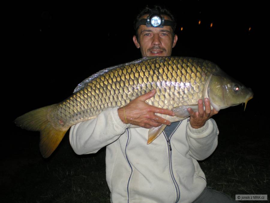 Lužnice 2012