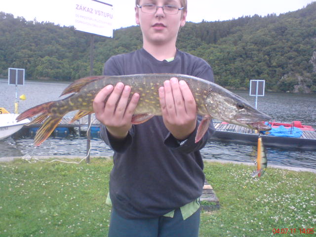 Moje 3. štika (52 cm)