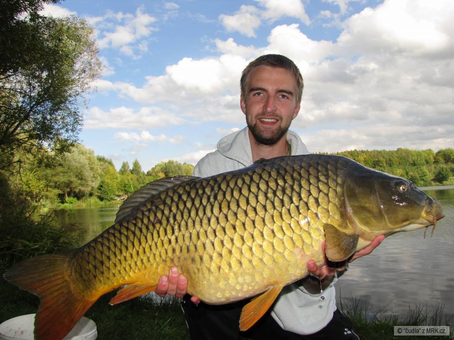 K 93, 13 kg