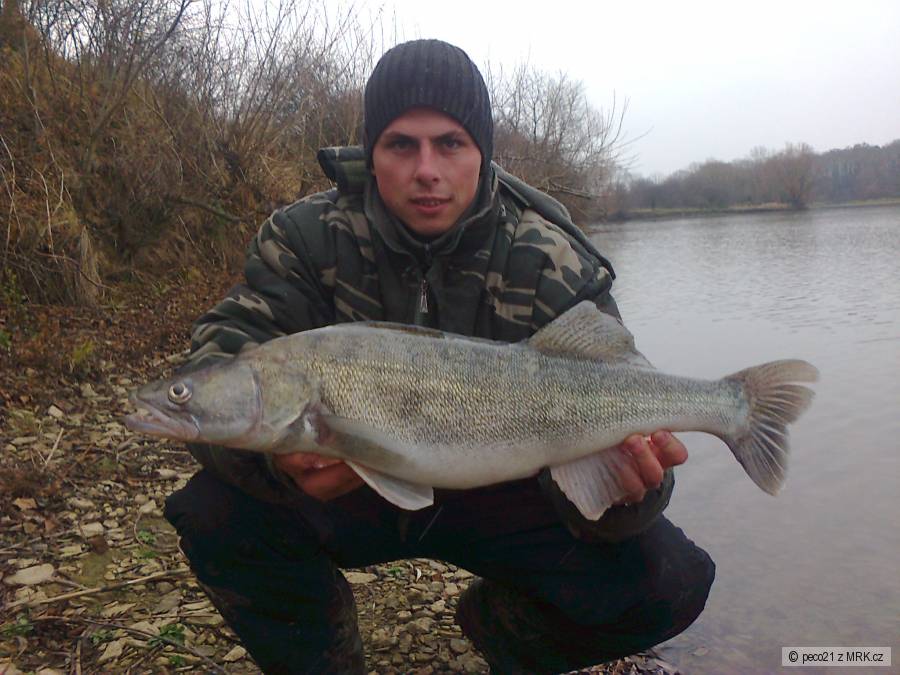 zubáč 72 cm na prívlač