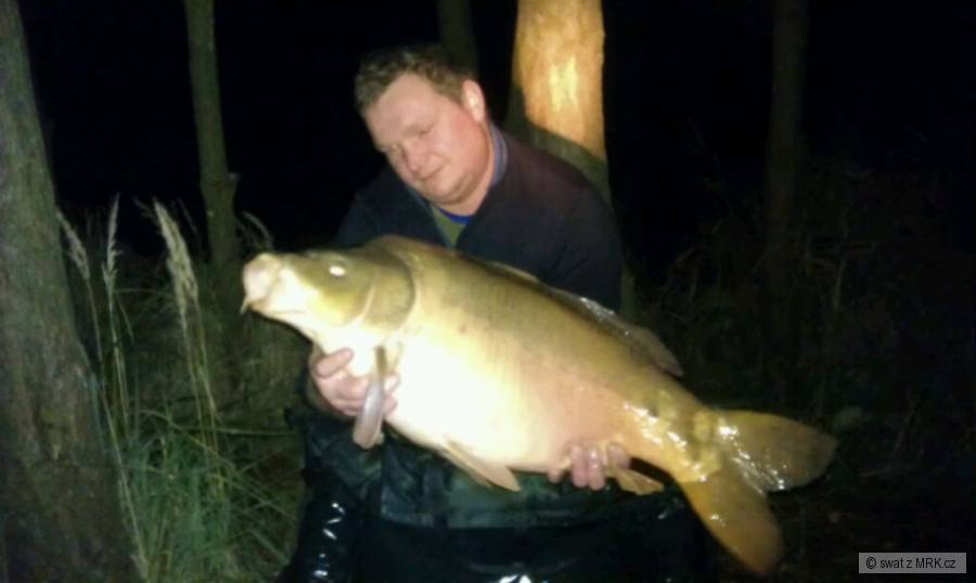 90cm 14,5kg