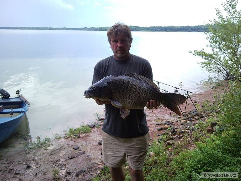 Nechranky 81cm