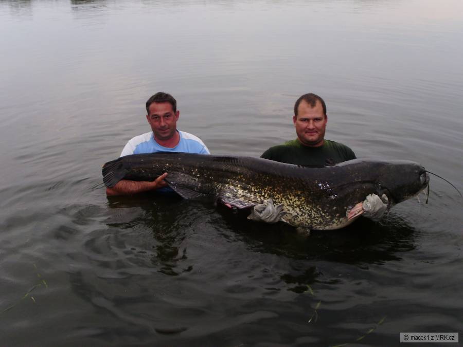 sumec 200cm