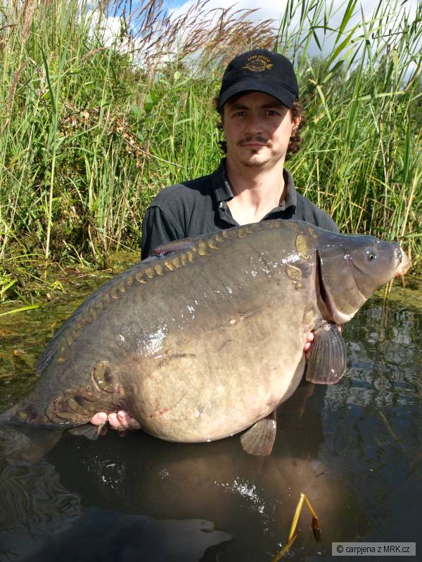 carp2012