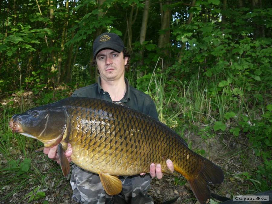 carp2012