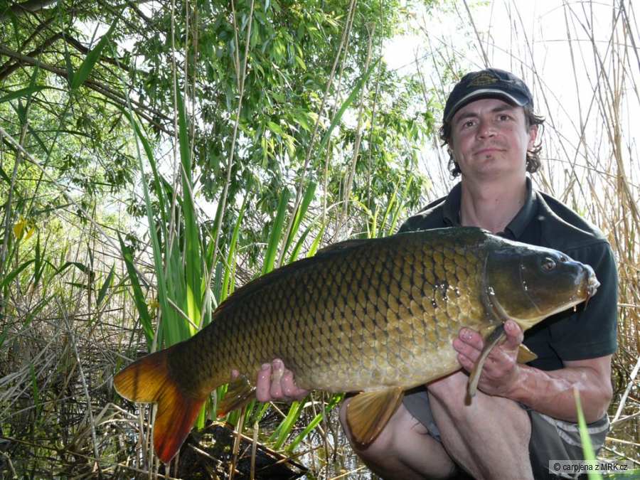 carp2012