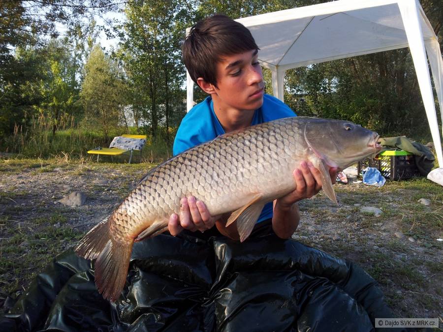 Kapor 7.3 KG