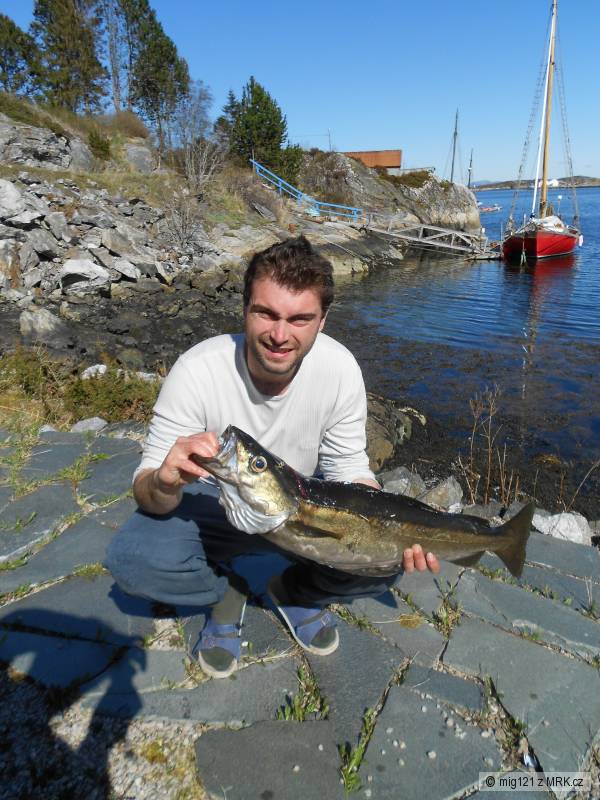 Hitra 2012