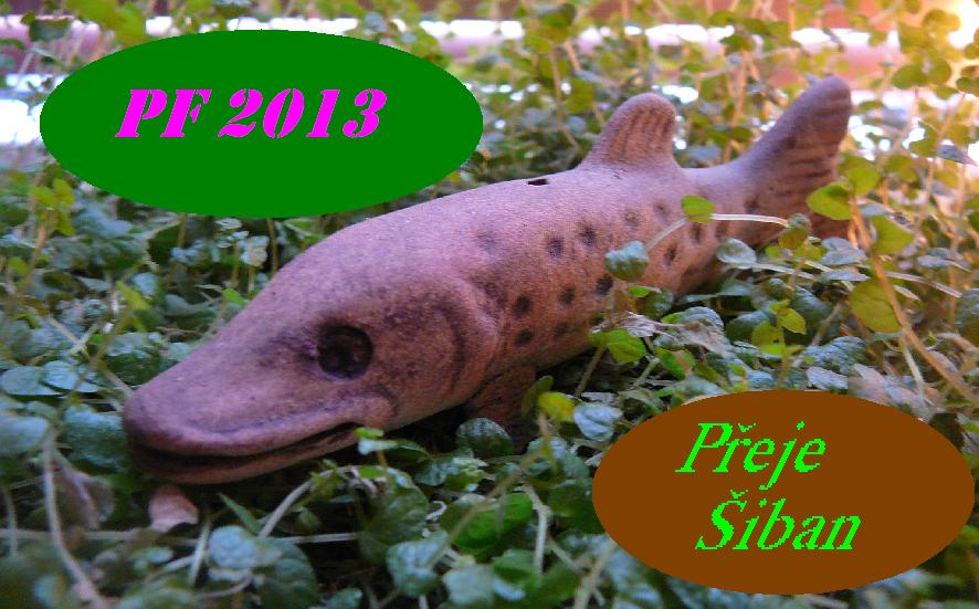PF 2013