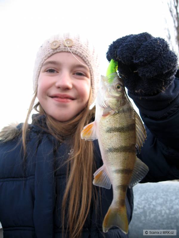 Jeden z mnoha silvestrovsk�ch okounk� ;)