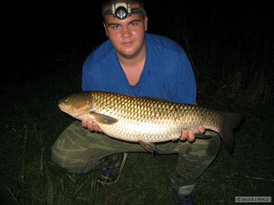 amur 6Kg