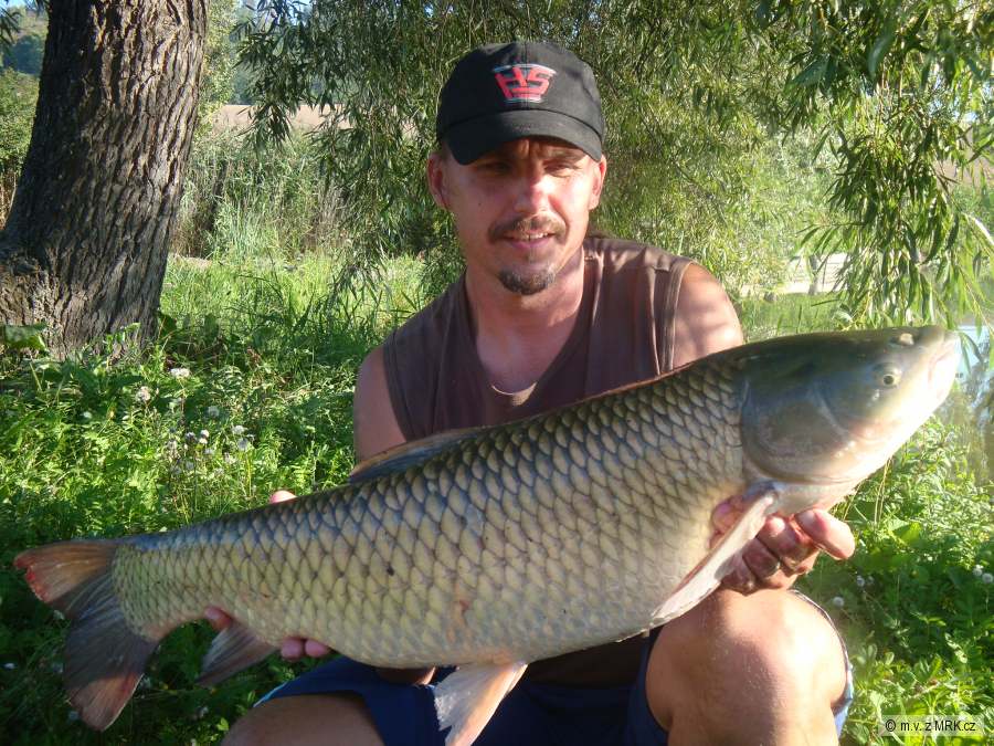 amur 9kg ze svazovky