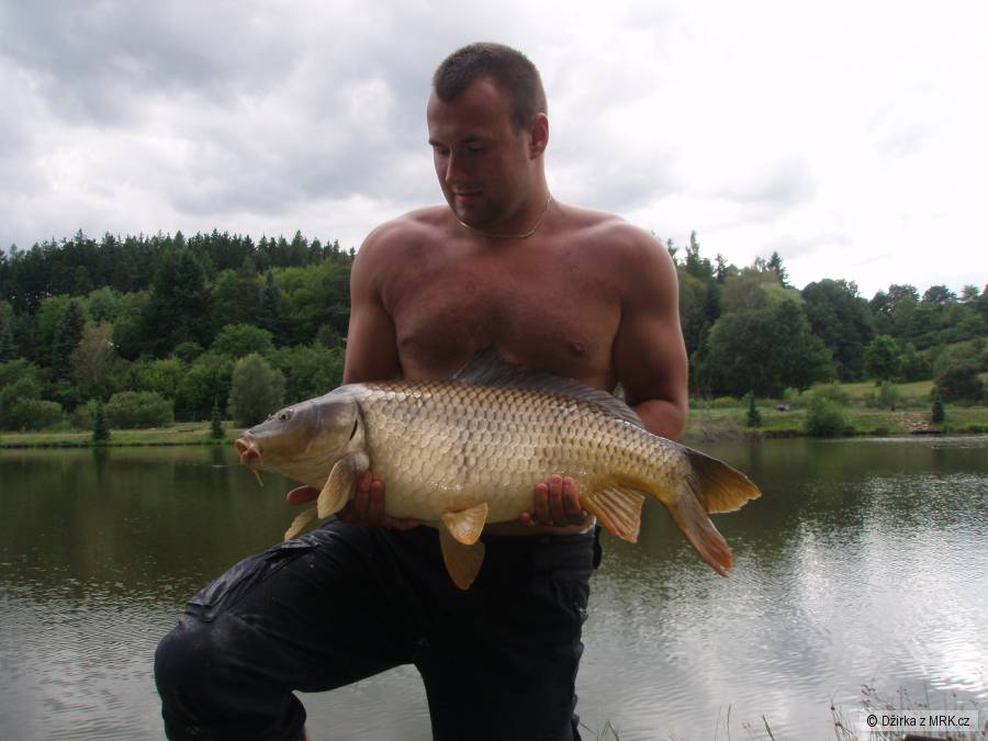 kapřík 78 Cm