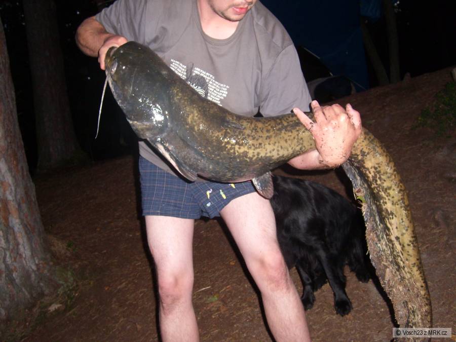 138cm