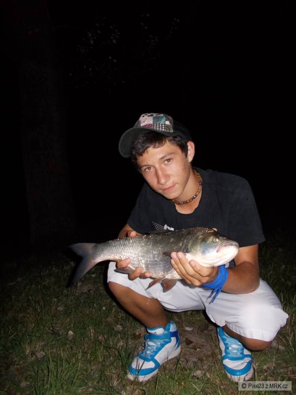 Bolen z Pod�brad