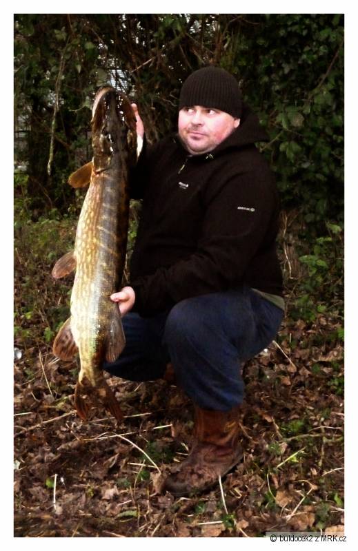 105 cm 11kg