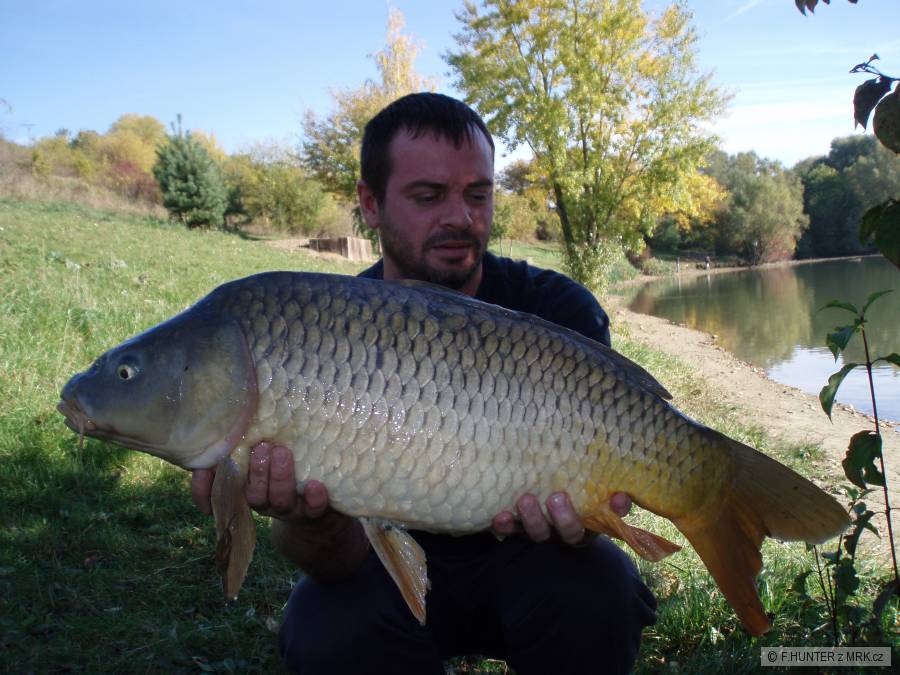 Jestřabice 2012