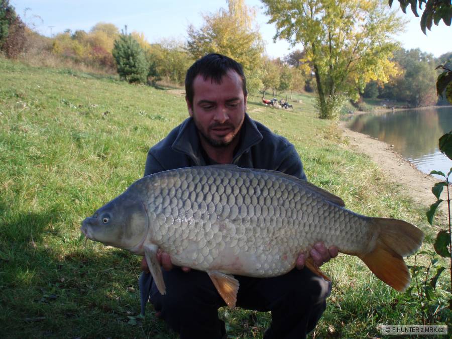Jestřabice 2012