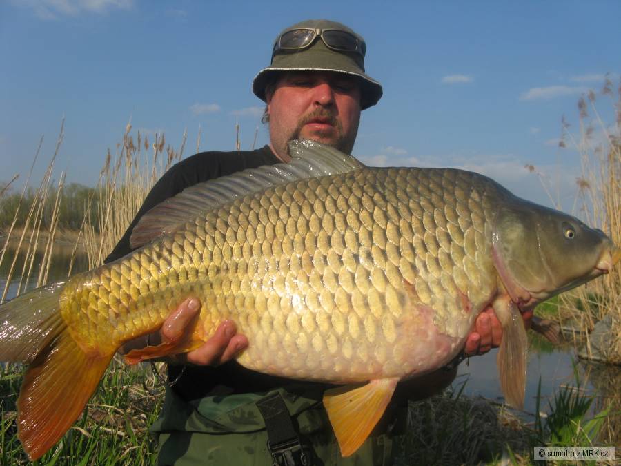 89cm 13.90kg