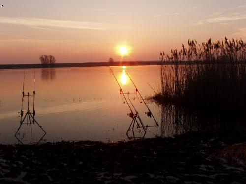 Madarsko 2005