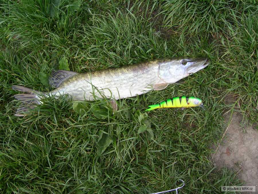 Savage gear 19cm po akci