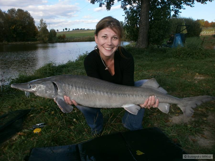 Jeseter 116cm, přitelkyně 175cm