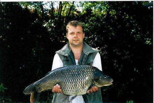 Carp