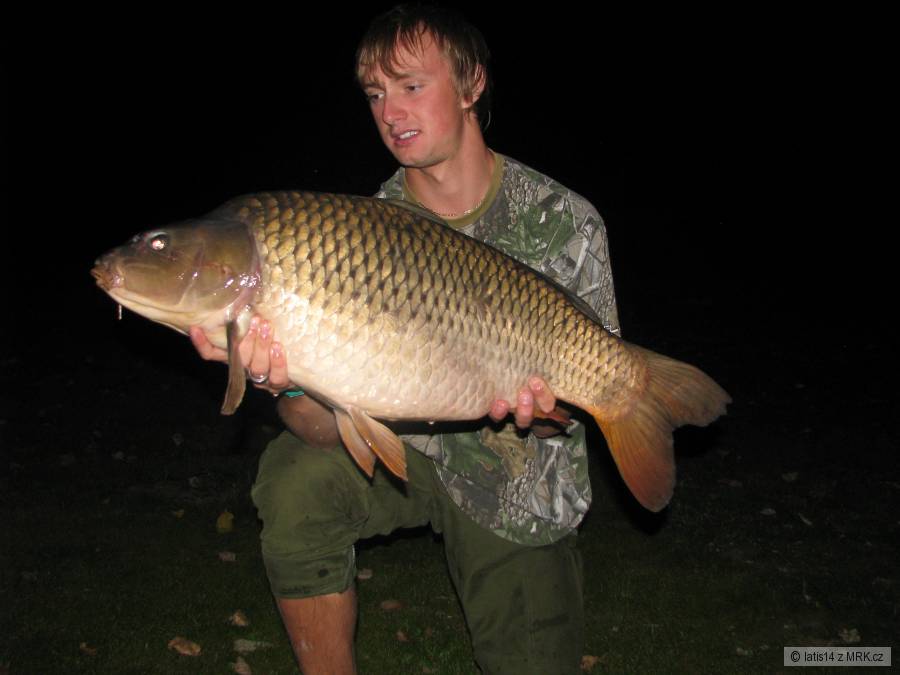 kapr 78cm 9,5kg oblíbená svazová