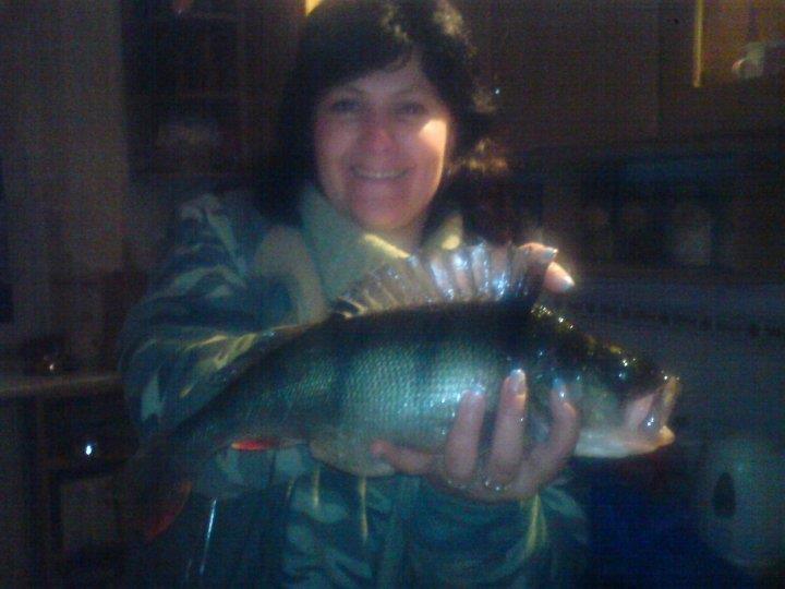 Okoun 45cm