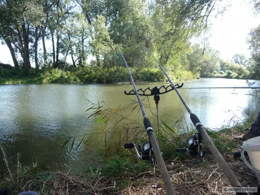 shimano beast master BX light-medium multi feeder