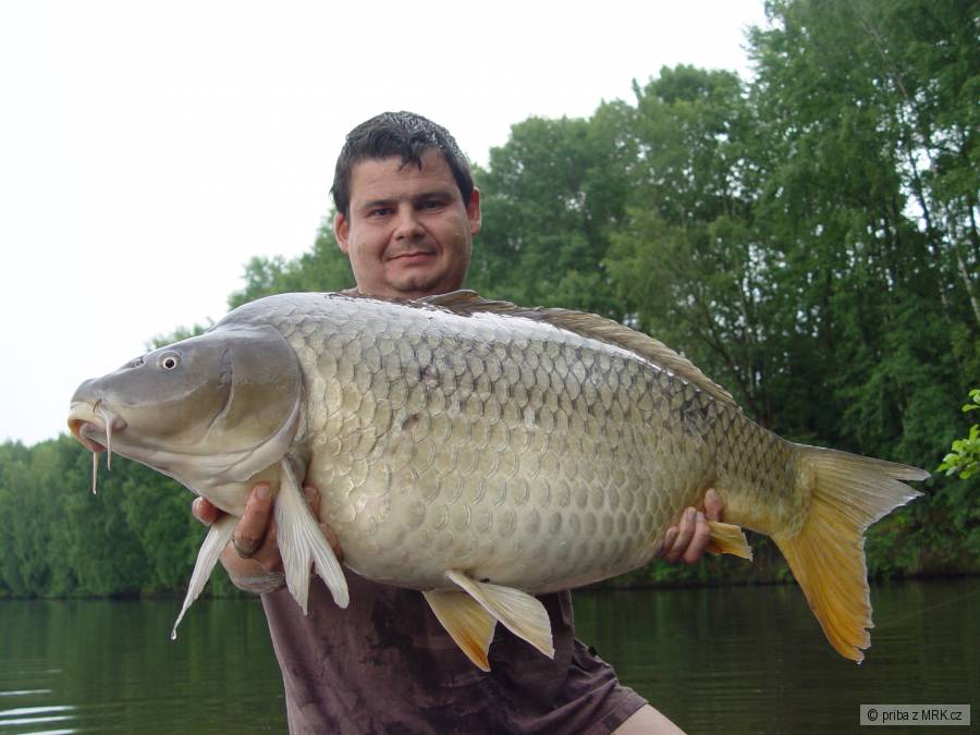 Odpolední 17kg