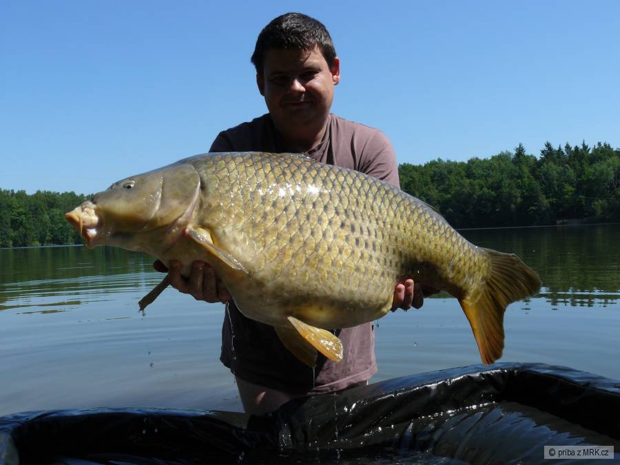 Šupi 17,5 kg
