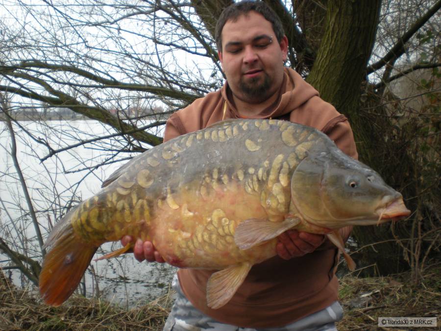 14,5kg