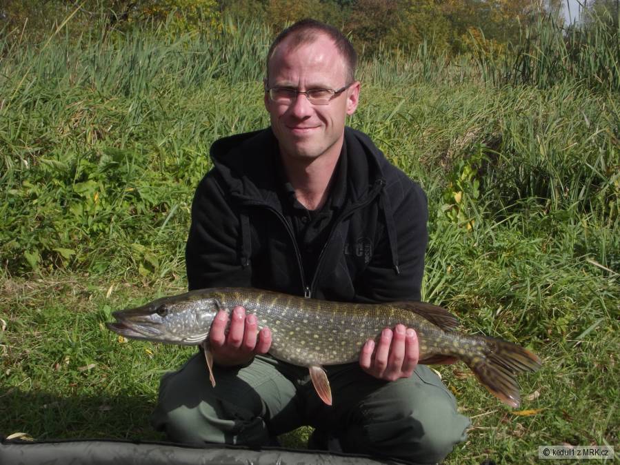Klasická kaprařina, 70cm, plovka, podseknutá
