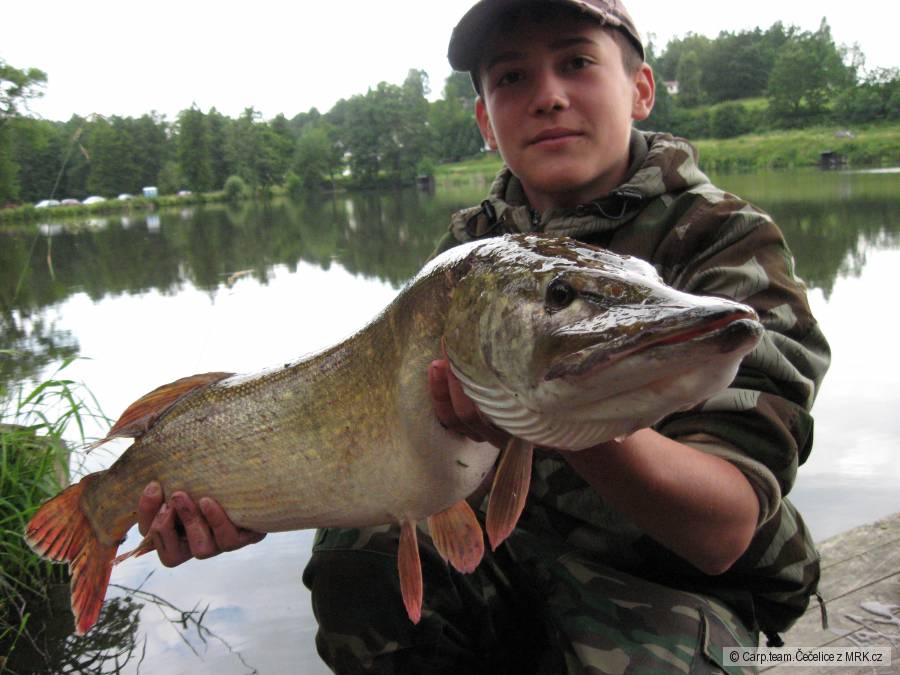 Štika z Hodkova