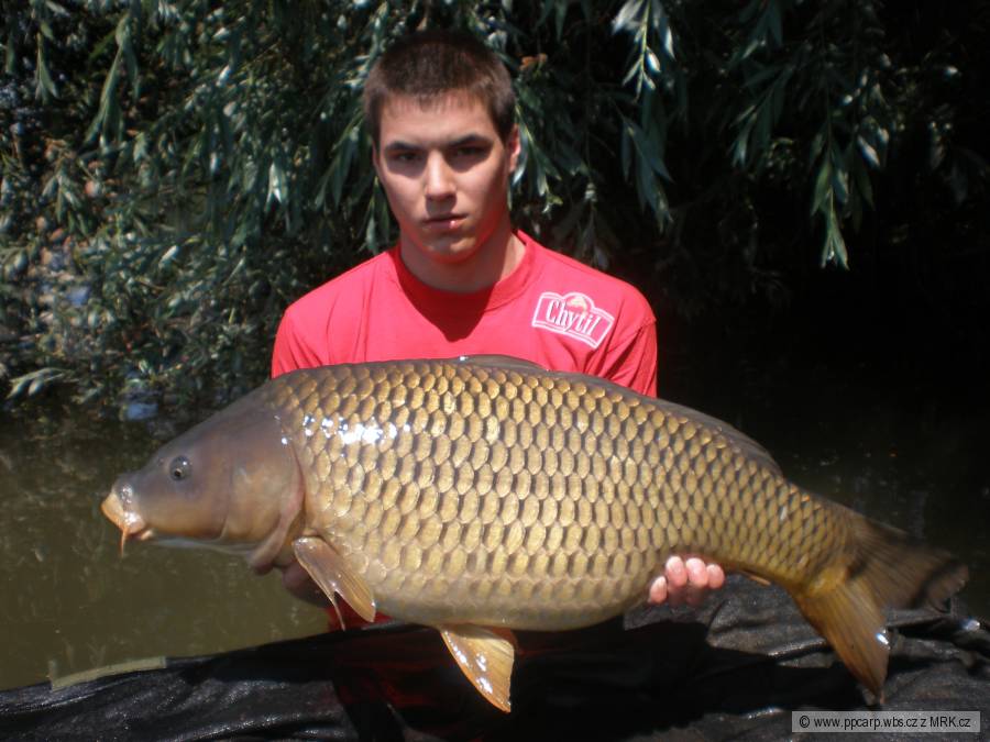 ppcarp - Petr Bařina