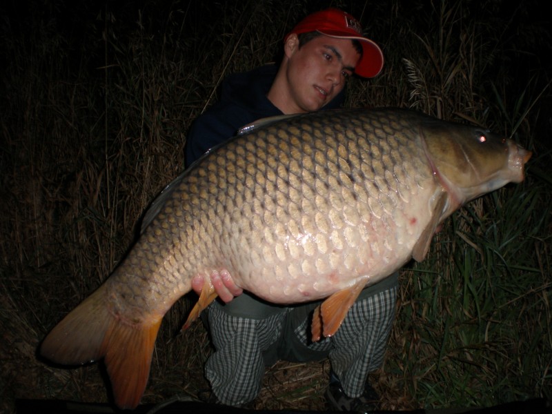 ppcarp - Petr Bařina