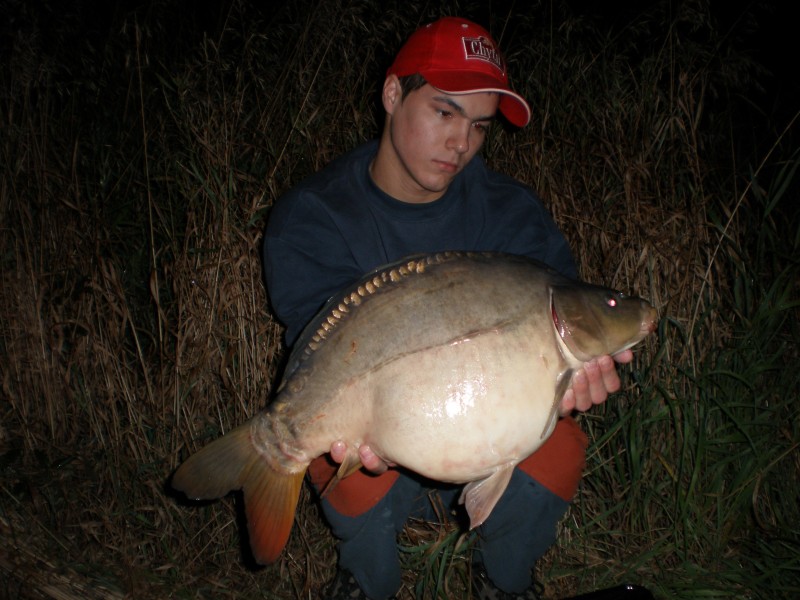 ppcarp - Petr Bařina