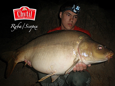 ppcarp - Petr Ba�ina