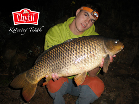 ppcarp - Petr Ba�ina