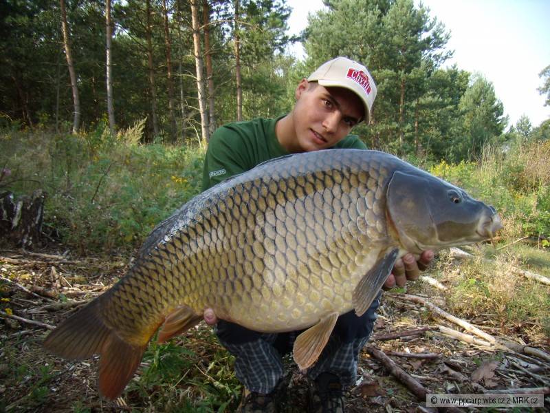 ppcarp - Pavel Bařina
