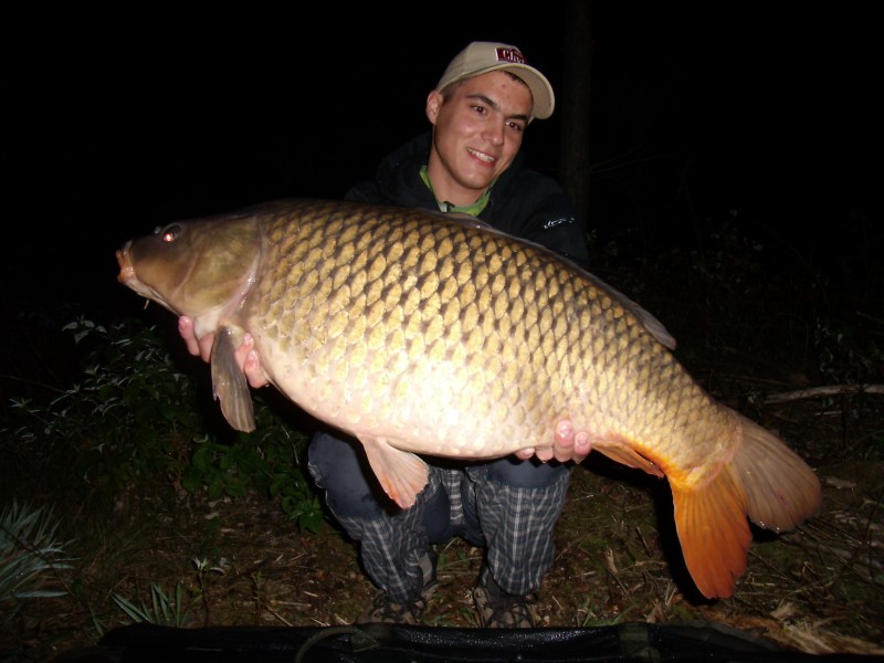 ppcarp - Pavel Bařina