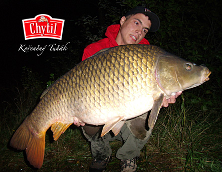 ppcarp - Pavel Ba�ina
