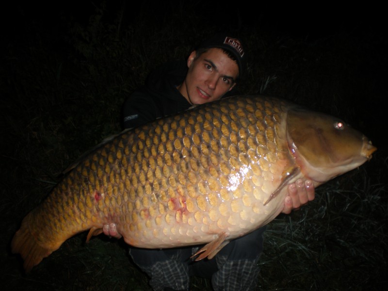 ppcarp - Pavel Bařina