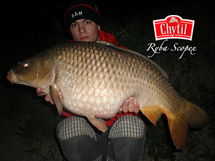 ppcarp - Pavel Ba�ina
